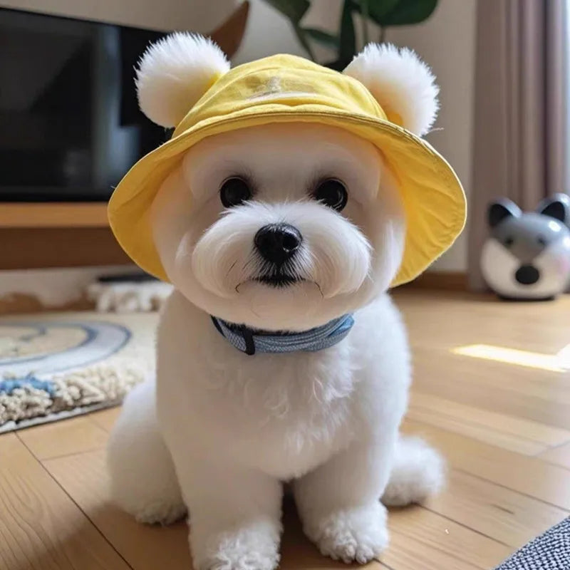 Cotton Cat Sun Hat With Ear Holes Round Brim Dog Puppy Cat Bucket Hat Outdoor Sun Protection Pet Caps for Small Medium Cat Dogs