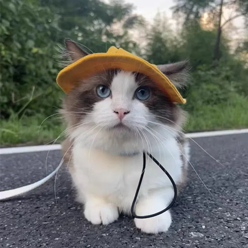 Cute Cat Dog Pets Hat with Ear Hole Dog Beach Visor Hat Sunhat for Cat Accessories Sun Cap Pet Outdoor Hat Supply for Dog Costum