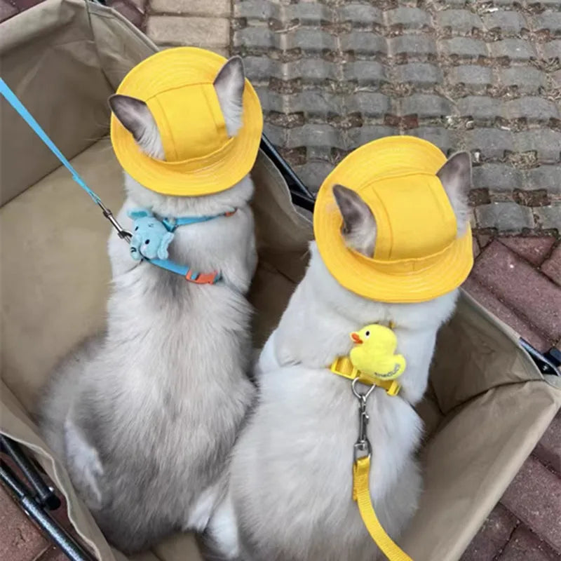 Cute Cat Dog Pets Hat with Ear Hole Dog Beach Visor Hat Sunhat for Cat Accessories Sun Cap Pet Outdoor Hat Supply for Dog Costum