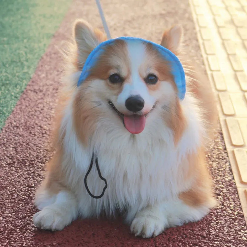 Cotton Cat Sun Hat With Ear Holes Round Brim Dog Puppy Cat Bucket Hat Outdoor Sun Protection Pet Caps for Small Medium Cat Dogs
