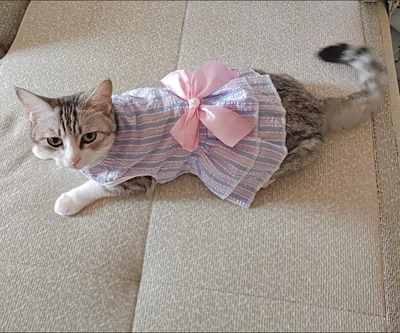 Summer Pet Cat Puppy Princess Dress Pet Clothes Striped Plaid Dresses with Bow Cats Kitten Rabbit Sphynx Clothing Pet Supplies