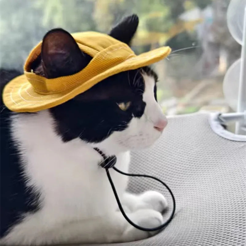 Cute Cat Dog Pets Hat with Ear Hole Dog Beach Visor Hat Sunhat for Cat Accessories Sun Cap Pet Outdoor Hat Supply for Dog Costum