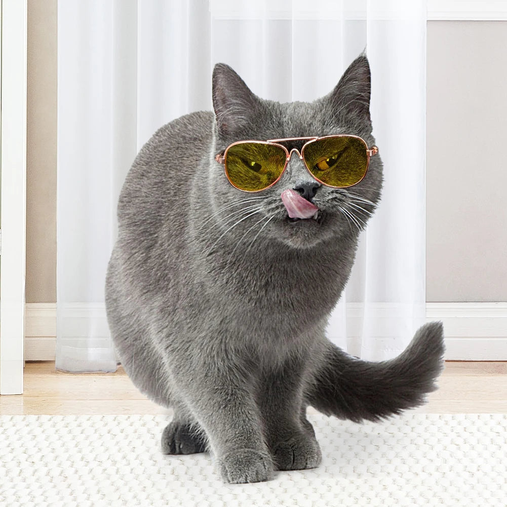 Dog Sunglasses Cat Pet Products Lovely Vintage Round Reflection Eye Wear Glasses For Small Dog Cat Pet Photos Props Accessories