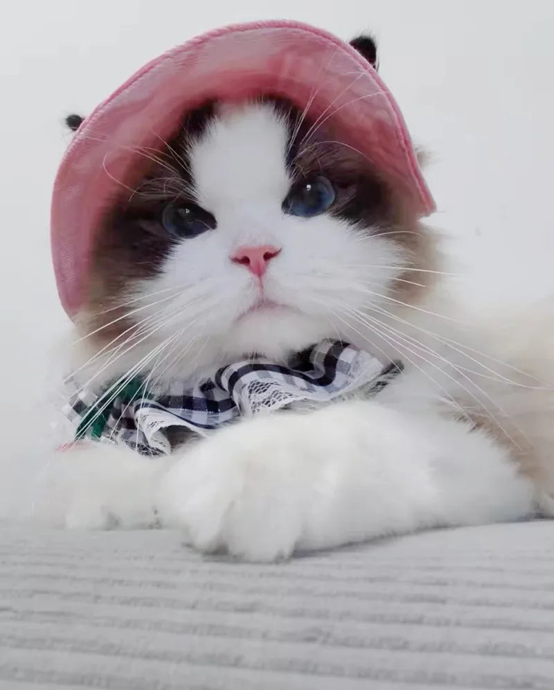 Cotton Cat Sun Hat With Ear Holes Round Brim Dog Puppy Cat Bucket Hat Outdoor Sun Protection Pet Caps for Small Medium Cat Dogs