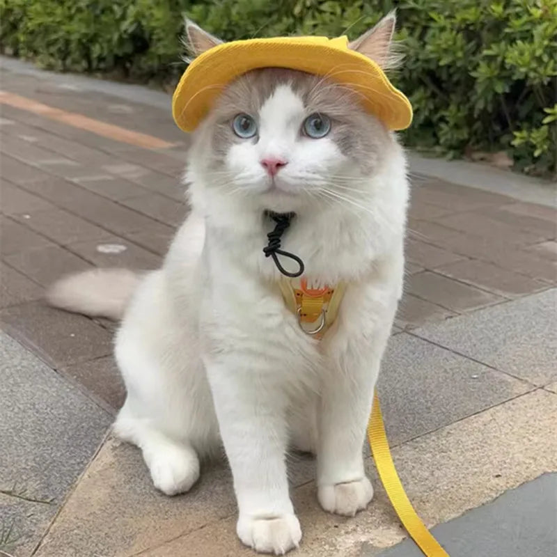 Cute Cat Dog Pets Hat with Ear Hole Dog Beach Visor Hat Sunhat for Cat Accessories Sun Cap Pet Outdoor Hat Supply for Dog Costum
